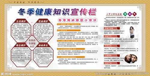 冬季中醫養生指南 固本培元，溫暖過冬